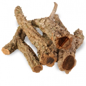 30cm Cork Oak Branch for Reptiles